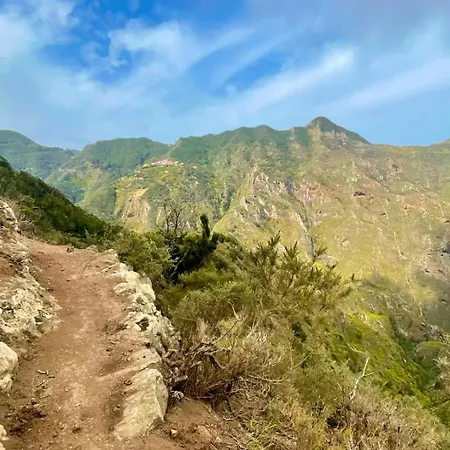 Amarilla Golf * San Miguel de Abona