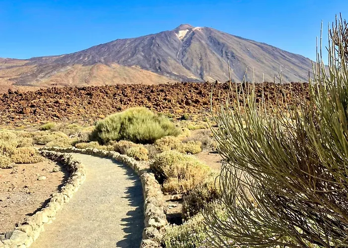 Amarilla Golf San Miguel de Abona