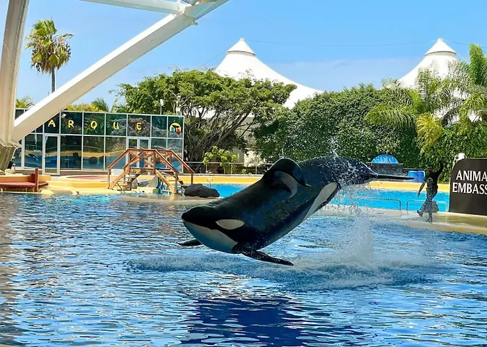 Lägenhet Amarilla Golf